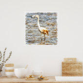  Flamingo Fledgling Waterverf Poster (Keuken)