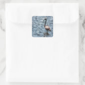 Flamingo Fledgling Waterverf Vierkante Sticker (Tas)