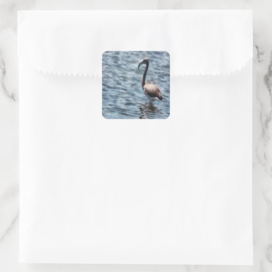 Flamingo Fledgling Waterverf Vierkante Sticker (Tas)