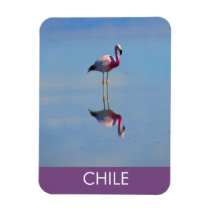Flamingo Flexible Magnet Magneet