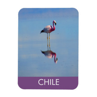 Flamingo Flexible Magnet Magneet
