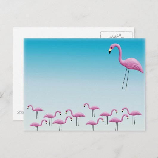 Flamingo Flocking Briefkaart (Voorkant / Achterkant)