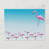 Flamingo Flocking Briefkaart (Voorkant)