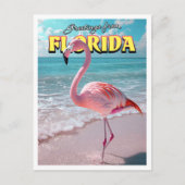 Flamingo Florida Briefkaart (Voorkant)