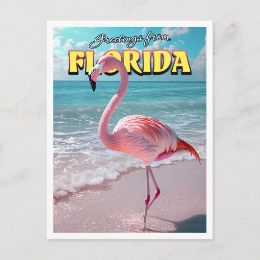 Flamingo Florida Briefkaart (Voorkant)