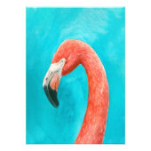 Flamingo Foto Afdruk (Voorkant)