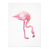Flamingo Foto Afdruk (Voorkant)