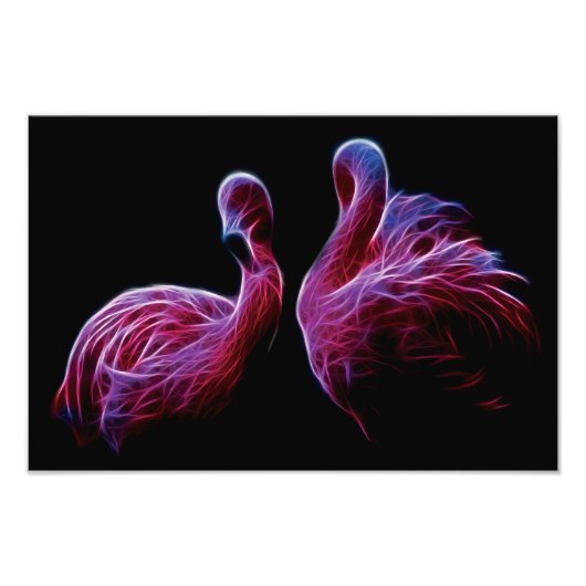 Flamingo Fractal Foto Afdruk (Voorkant)