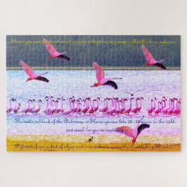 Flamingo Fun 20"x30" - 1.014 Stukje Legpuzzel
