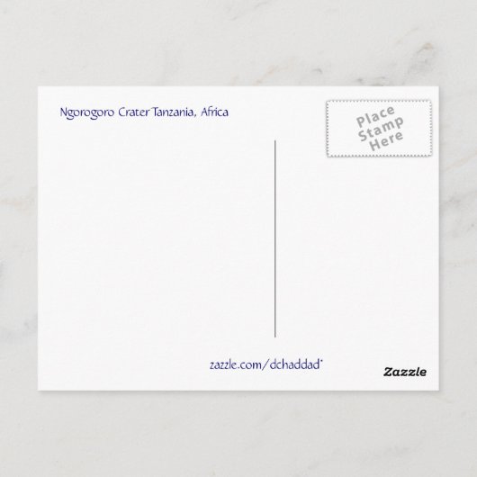 Flamingo Gathering - Briefkaart (Achterkant)