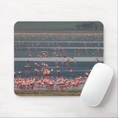 Flamingo Gathering - Mousepad Muismat (Met muis)