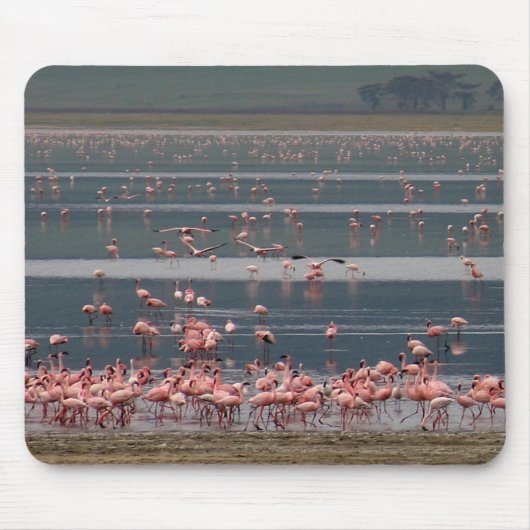 Flamingo Gathering - Mousepad Muismat (Voorkant)