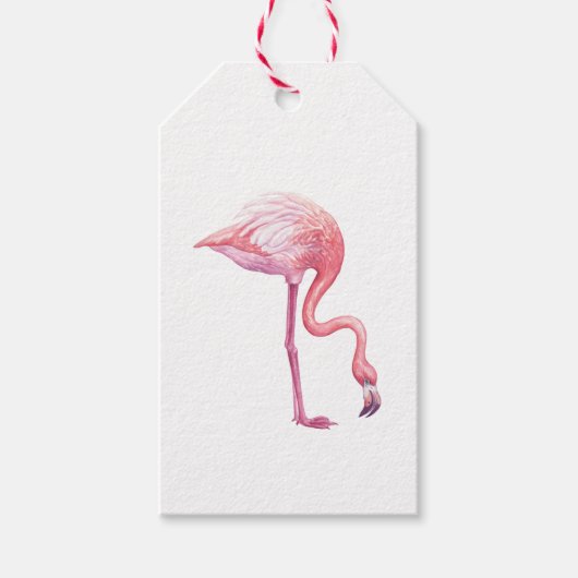 Flamingo Gift Labels Cadeaulabel (Voorkant)