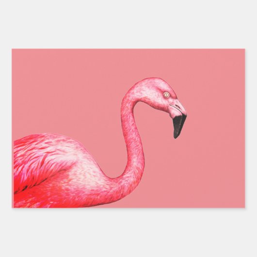 Flamingo Gift Wrap Bladen Inpakpapier Vel (Voorkant 3)