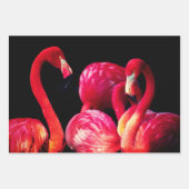 Flamingo Gift Wrap Bladen Inpakpapier Vel (Voorkant)