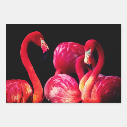 Flamingo Gift Wrap Bladen Inpakpapier Vel (Voorkant)