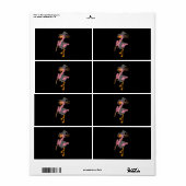 Flamingo Halloween Flamingo Witch Cool Pink Bird Etiket (Full Sheet)