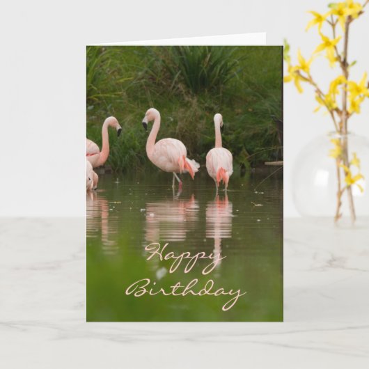 Flamingo Happy Birthday Kaart (Gele Bloem)