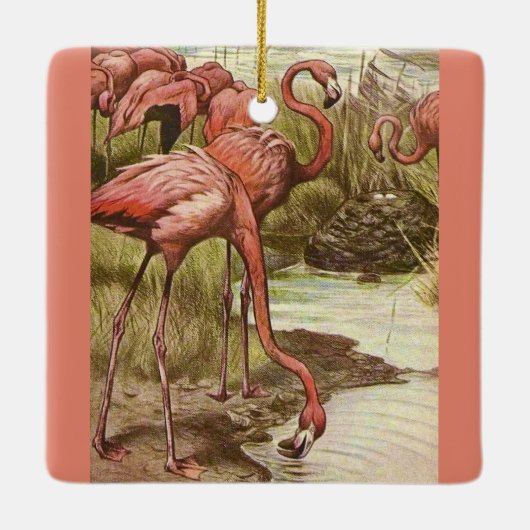 Flamingo  Illustratie Ornament (Achterkant)