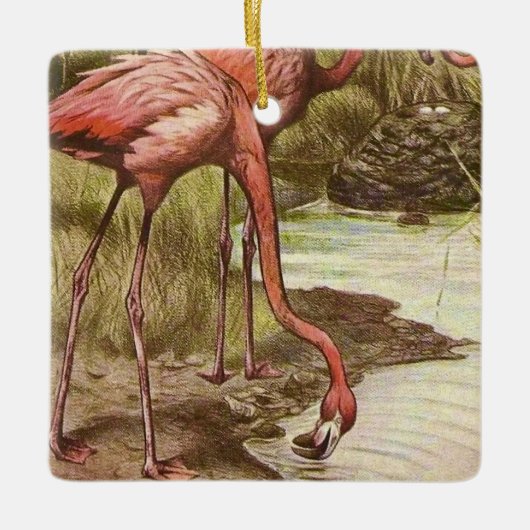 Flamingo  Illustratie Ornament (Voorkant)