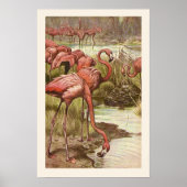  Flamingo Illustratie Print (Voorkant)