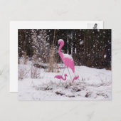 Flamingo in de sneeuw briefkaart (Voorkant / Achterkant)