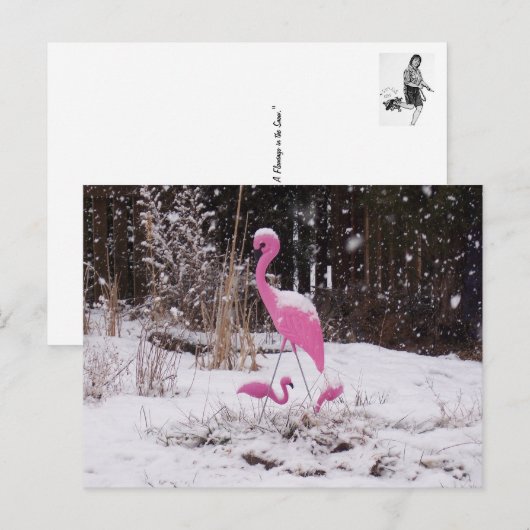 Flamingo in de sneeuw briefkaart (Voorkant / Achterkant)