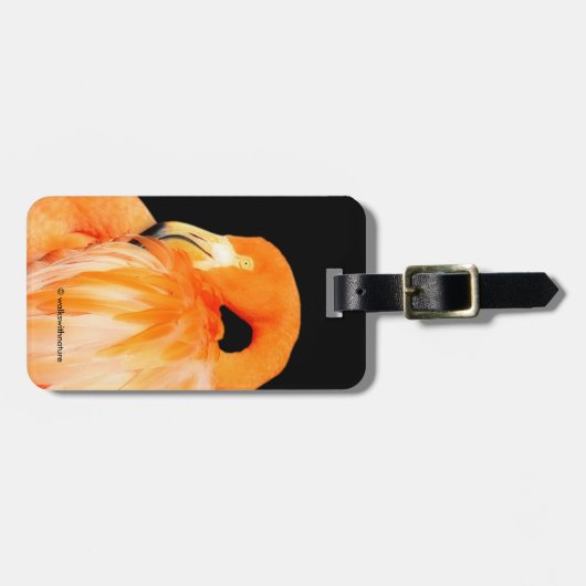 Flamingo in de zomer van de zon bagagelabel (Voorkant horizontaal)
