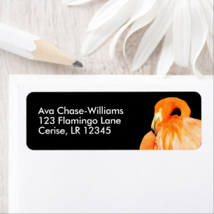 Flamingo in de zomer van de zon etiket