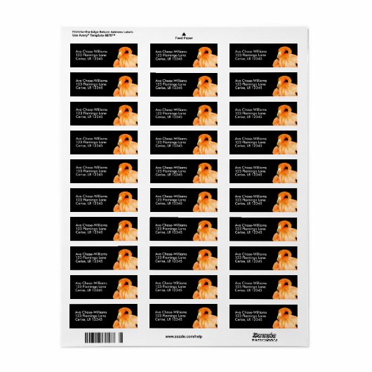 Flamingo in de zomer van de zon etiket (Full Sheet)