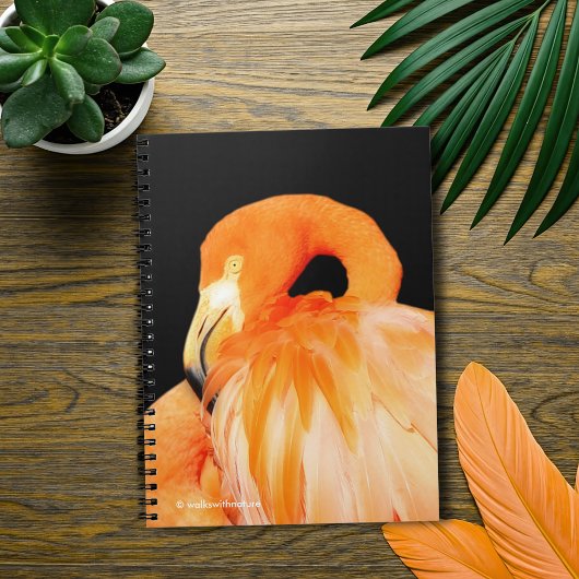 Flamingo in de zomer van de zon notitieboek