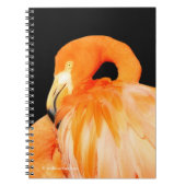 Flamingo in de zomer van de zon notitieboek (Voorkant)