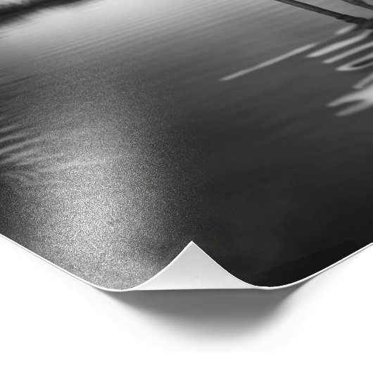 Flamingo in een pool foto afdruk (Hoek)