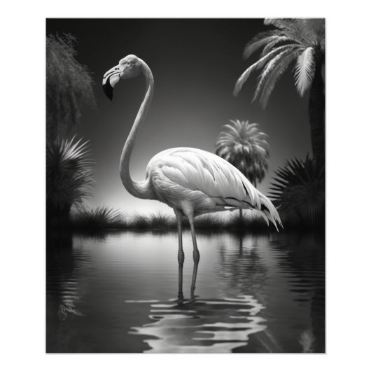 Flamingo in een pool foto afdruk (Voorkant)