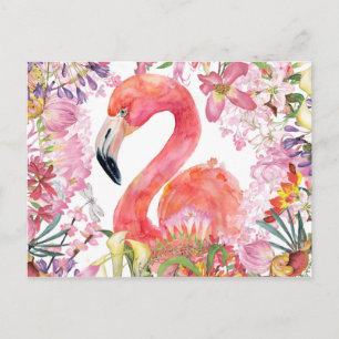Flamingo in het Bloem Oerwoud - het Patroon van de Briefkaart