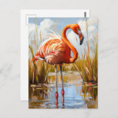 Flamingo in het wild briefkaart (Voorkant / Achterkant)