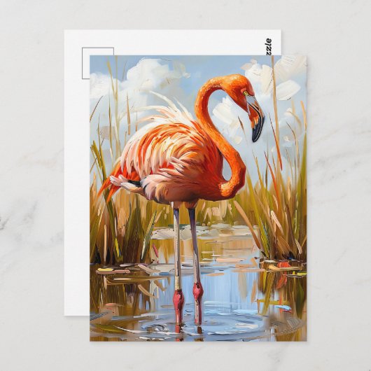 Flamingo in het wild briefkaart (Voorkant / Achterkant)