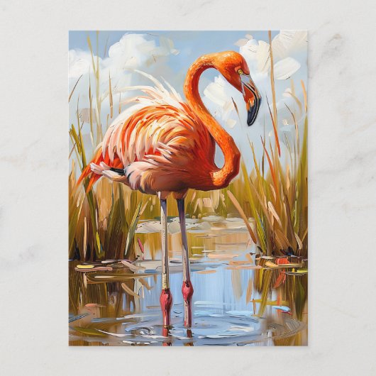 Flamingo in het wild briefkaart (Voorkant)