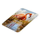 Flamingo in het wild magneet (Linkerzijde)