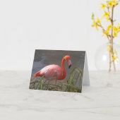 Flamingo Kaart (Gele Bloem)