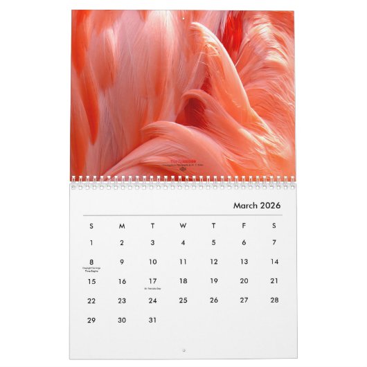 Flamingo - Kalender 2018 (Mar 2026)