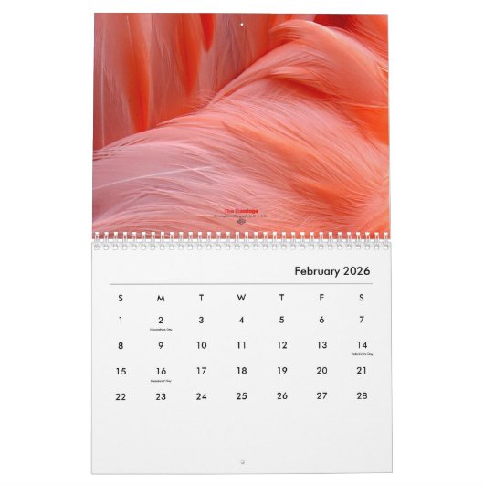 Flamingo - Kalender 2018 (Feb 2026)