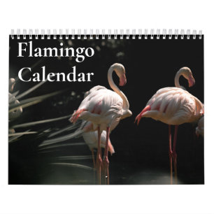 Flamingo Kalender 2025