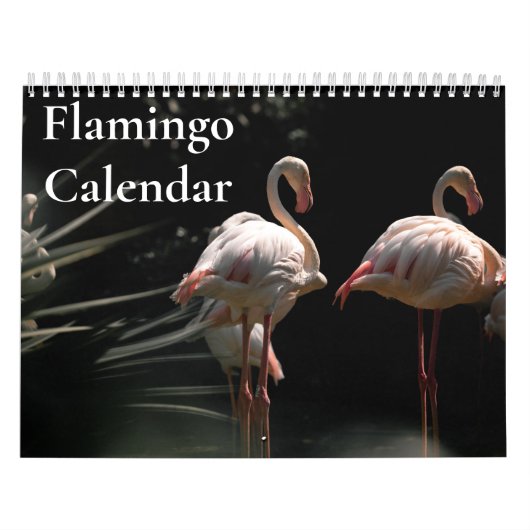 Flamingo Kalender 2025 (Hoes)