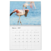 Flamingo Kalender 2025 (Feb 2027)