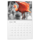 Flamingo Kalender 2025 (Jan 2026)