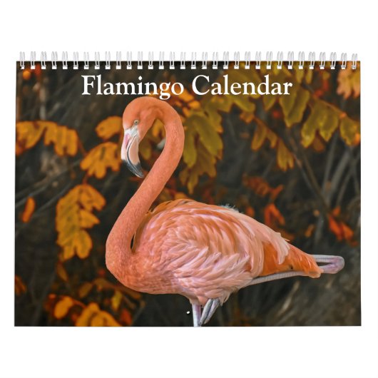 Flamingo Kalender 2025 (Hoes)
