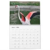 Flamingo Kalender 2025 (Mar 2026)