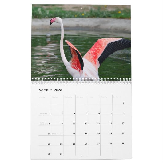 Flamingo Kalender 2025 (Mar 2026)