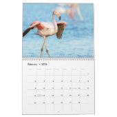 Flamingo Kalender 2025 (Feb 2026)